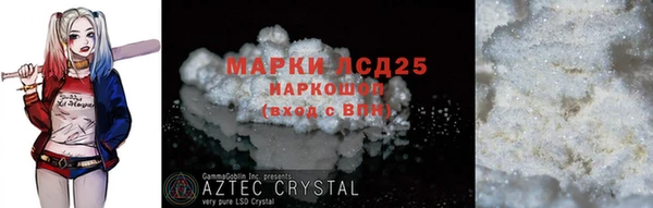ГАЛЛЮЦИНОГЕННЫЕ ГРИБЫ Белокуриха