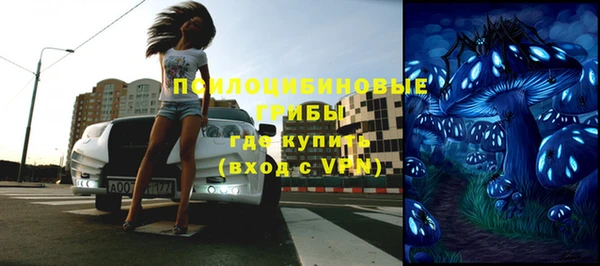 ГАЛЛЮЦИНОГЕННЫЕ ГРИБЫ Белокуриха